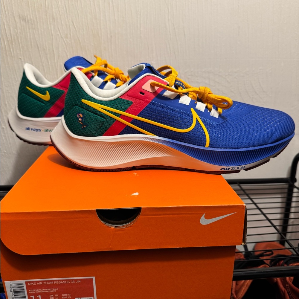 Rare BRAND NEW in box Nike Air Zoom Pegasus 38 Jordan Moss men’s shoes Size 11